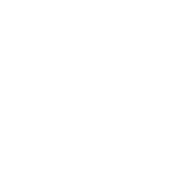 Logo_Sae